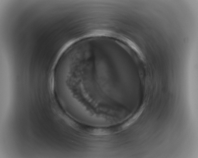 X0000114581275200910191516