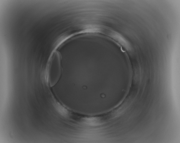 X0000114581276200910191516