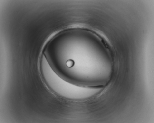 X0000114581277200910191516