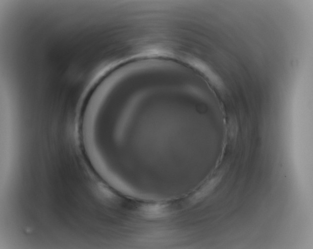 X0000114581278200910191516