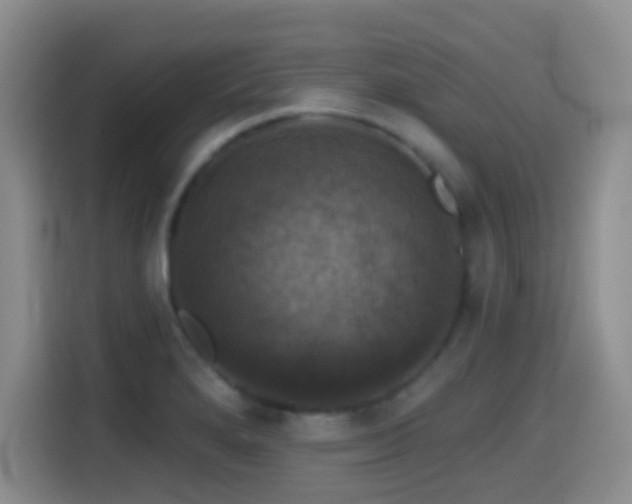 X0000114581280200910191516