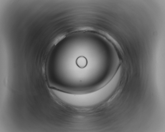 X0000114581281200910191516