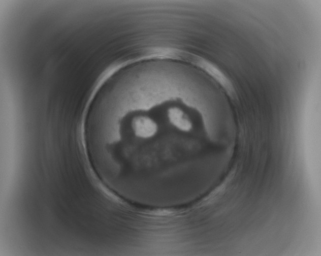 X0000114581283200910191516