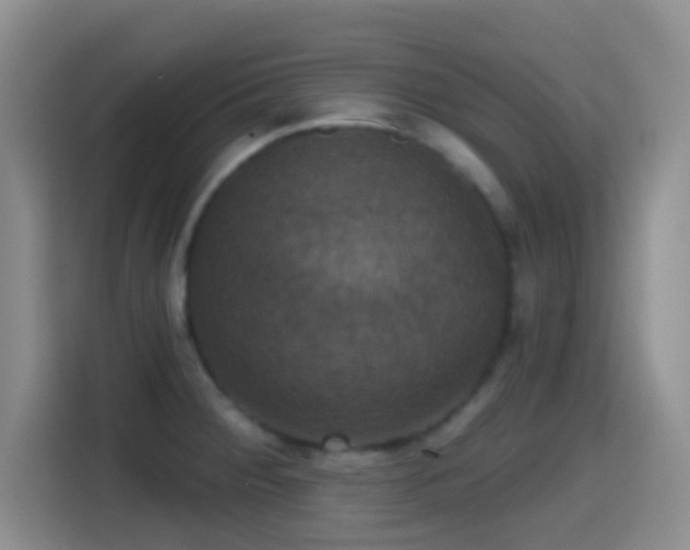 X0000114581284200910191516