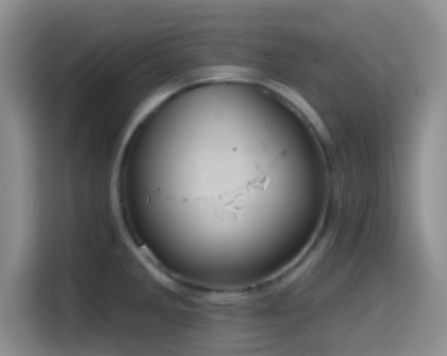 X0000114581285200910191516