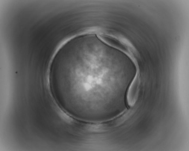 X0000114581288200910191516