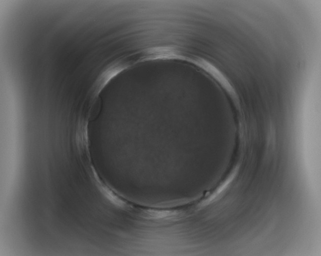 X0000114581289200910191516