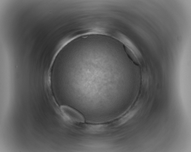 X0000114581292200910191516