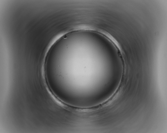 X0000114581293200910191516