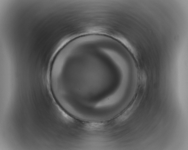 X0000114581294200910191516