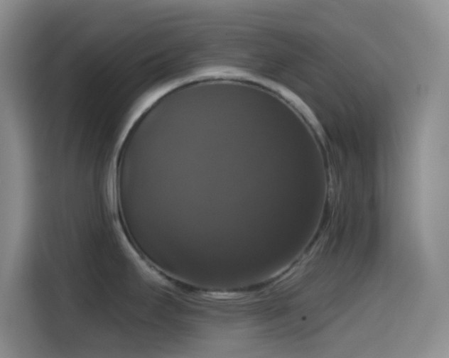 X0000114581295200910191516