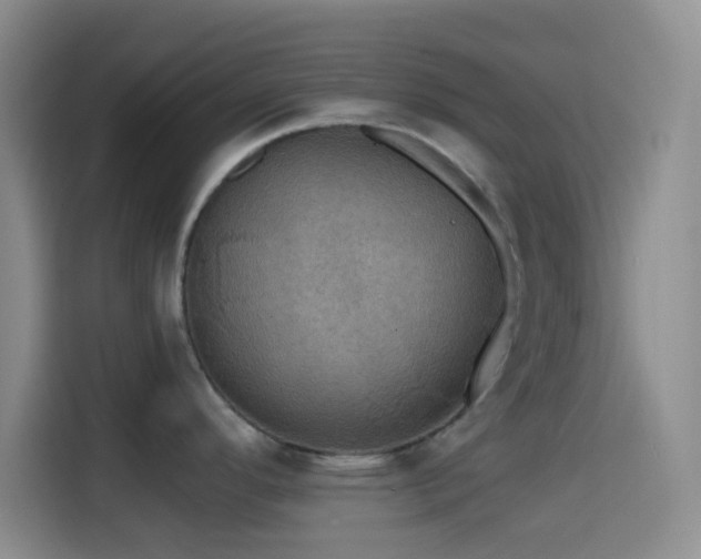 X0000114581296200910191516