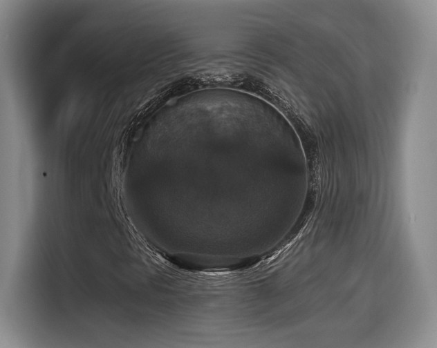 X0000114581297200910191515