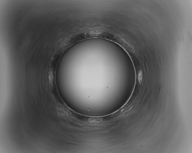 X0000114581299200910191515