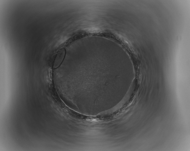 X0000114581301200910191515