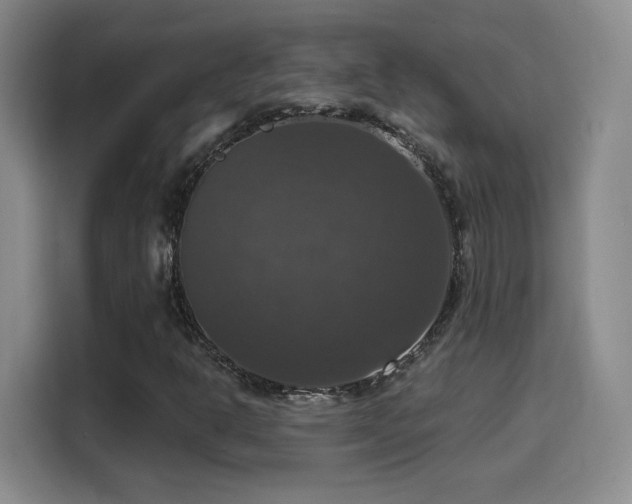 X0000114581302200910191515