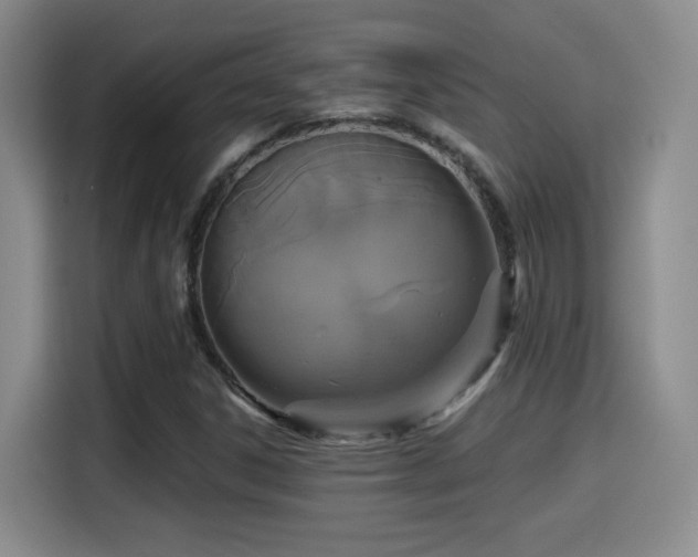 X0000114581306200910191515