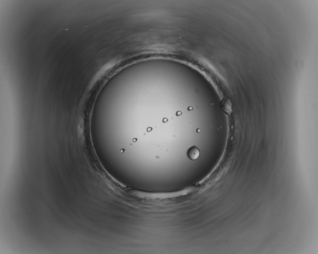 X0000114581307200910191515