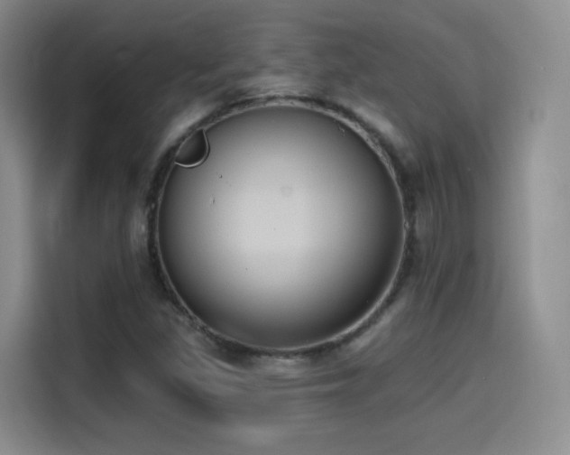 X0000114581309200910191515