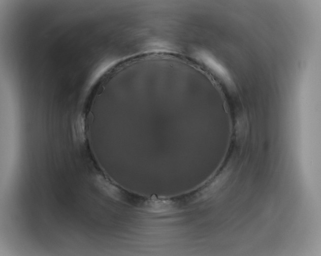 X0000114581310200910191515