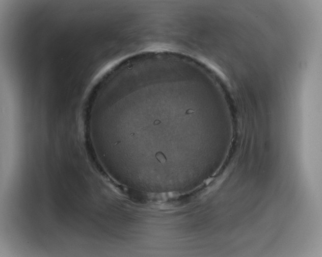 X0000114581311200910191515