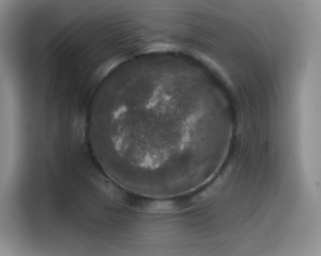 X0000114581313200910191515