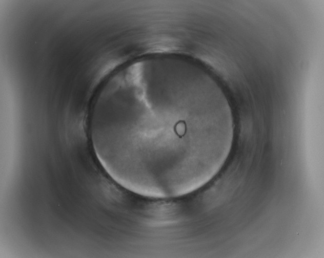 X0000114581314200910191515