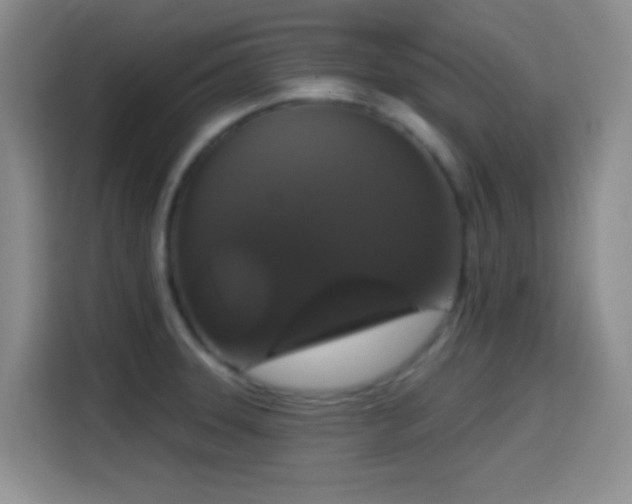 X0000114581331200910191515