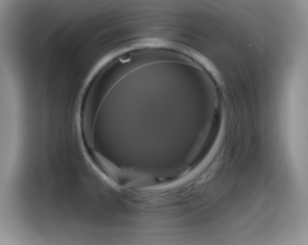 X0000114581334200910191515