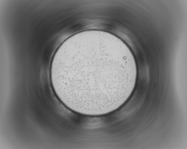 X0000114581338200910191515