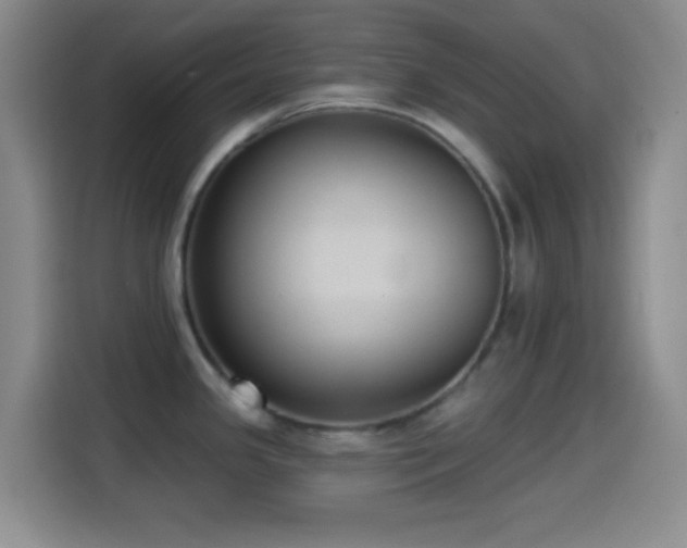 X0000114581341200910191515