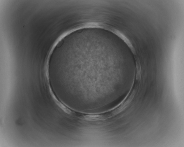 X0000114581342200910191515