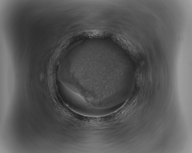 X0000114581345200910191515