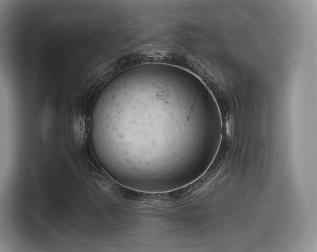 X0000114581347200910191515