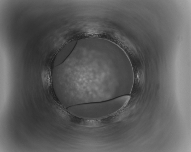 X0000114581348200910191515