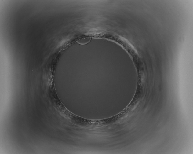 X0000114581350200910191515