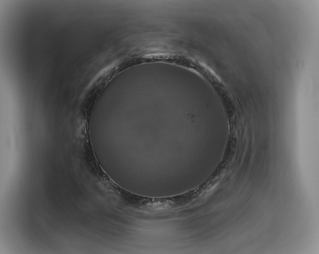 X0000114581351200910191515