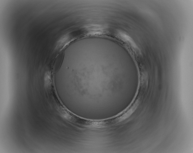 X0000114581353200910191515