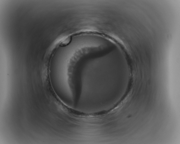 X0000114581359200910191515