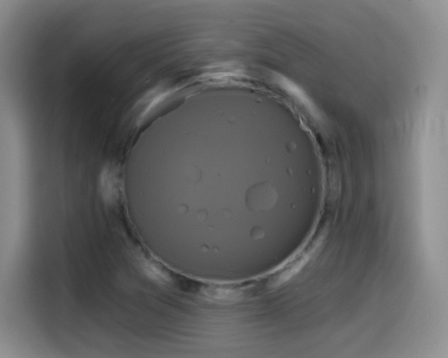 X0000114581361200910191515