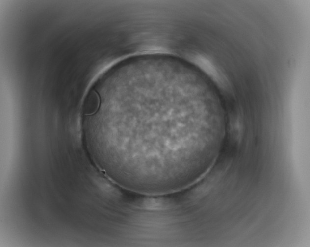 X0000114581364200910191515