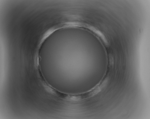 X0000114581365200910191515