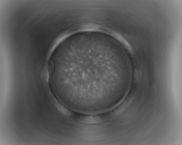 X0000114581368200910191515