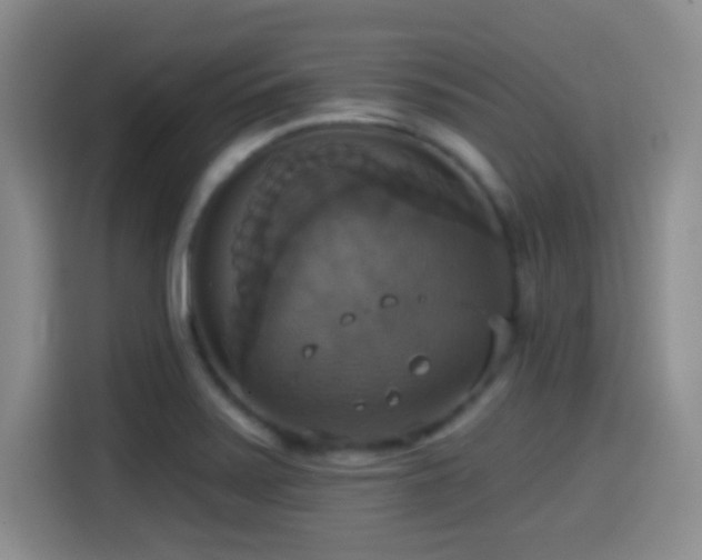 X0000114581371200910191515