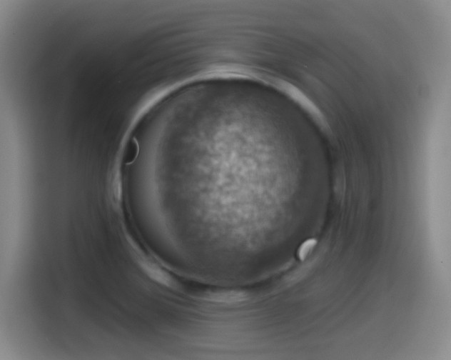 X0000114581372200910191515