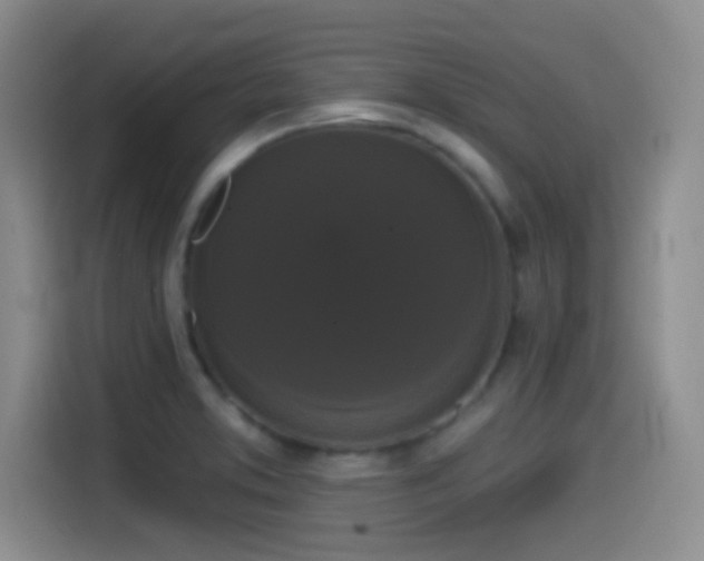 X0000114581373200910191515