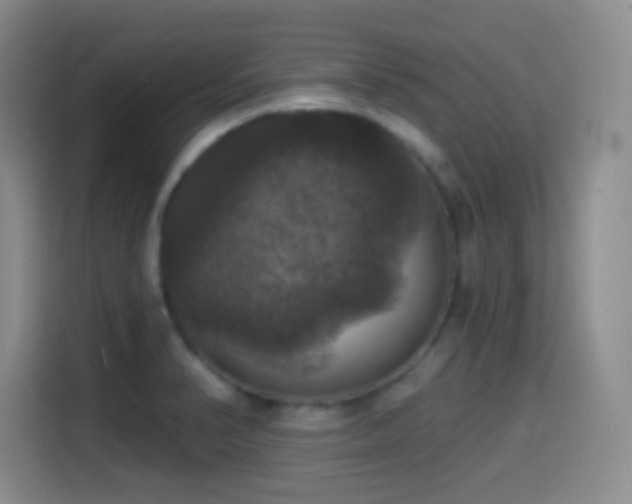 X0000114581374200910191515