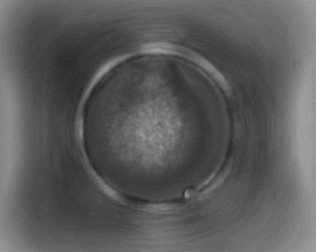 X0000114581376200910191514