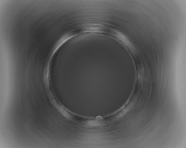 X0000114581378200910191514