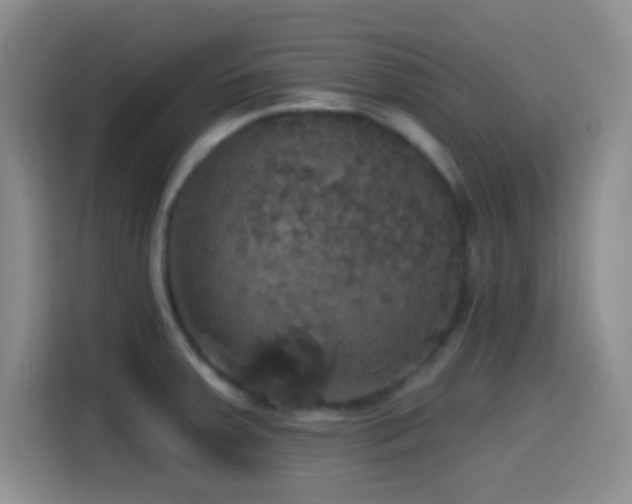 X0000114581379200910191514